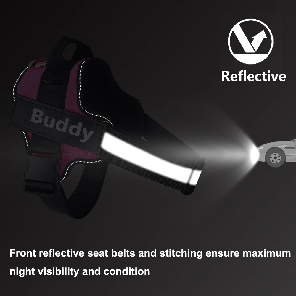Reflective strips on the dog harness lighting up at night