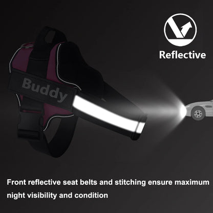 Reflective strips on the dog harness lighting up at night