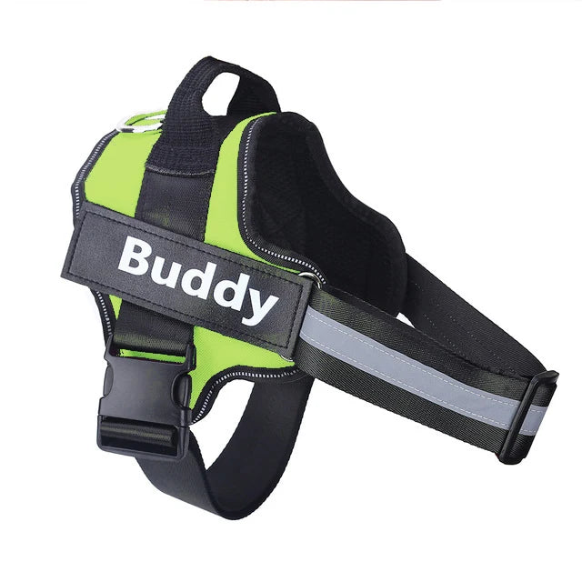 Green personalized ID dog harness with Buddy name patch